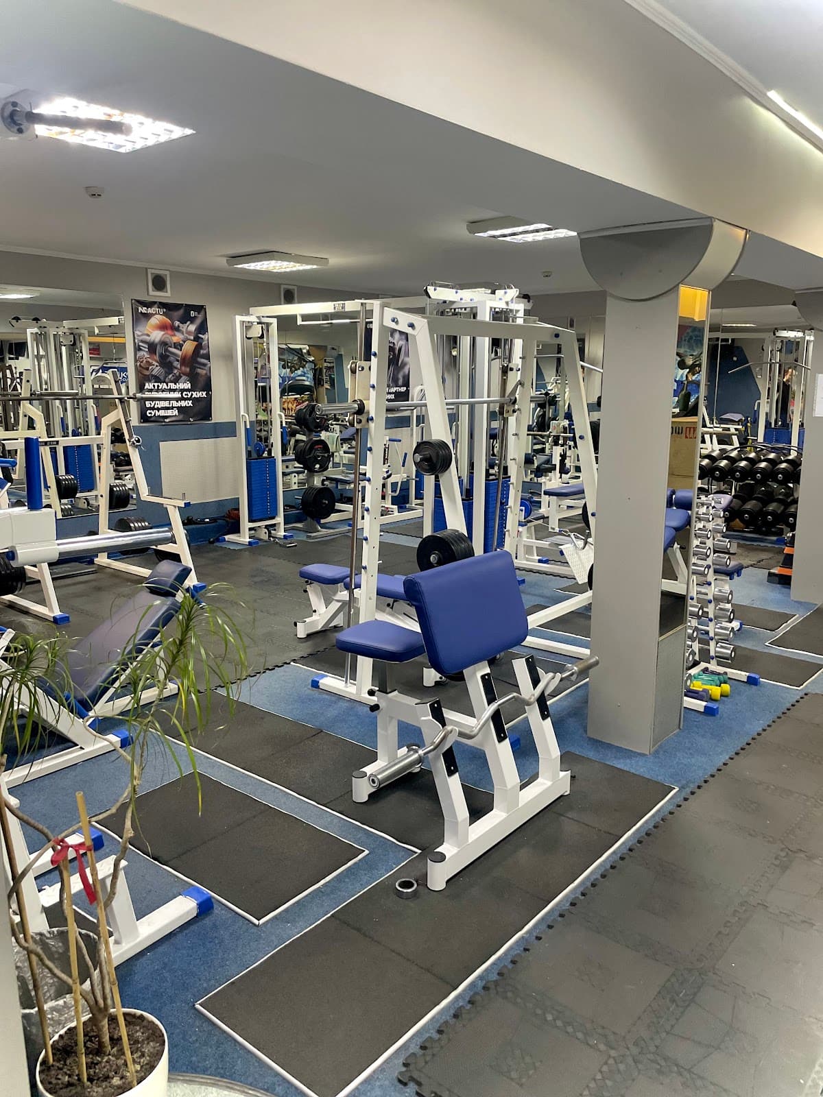 Zinko fitness club